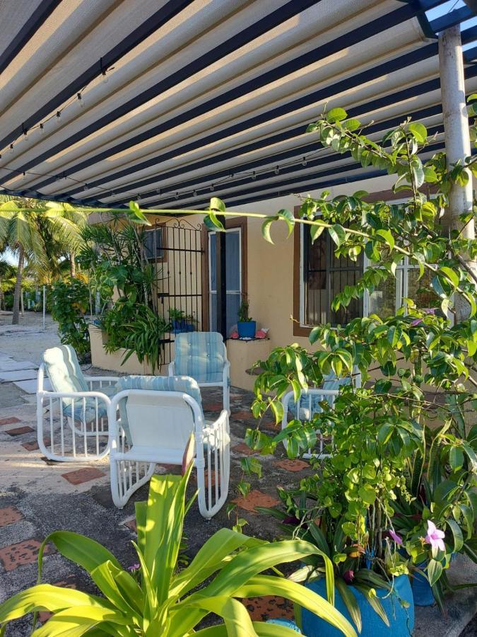 Casa Ibiza Celestun Villa Dış mekan fotoğraf